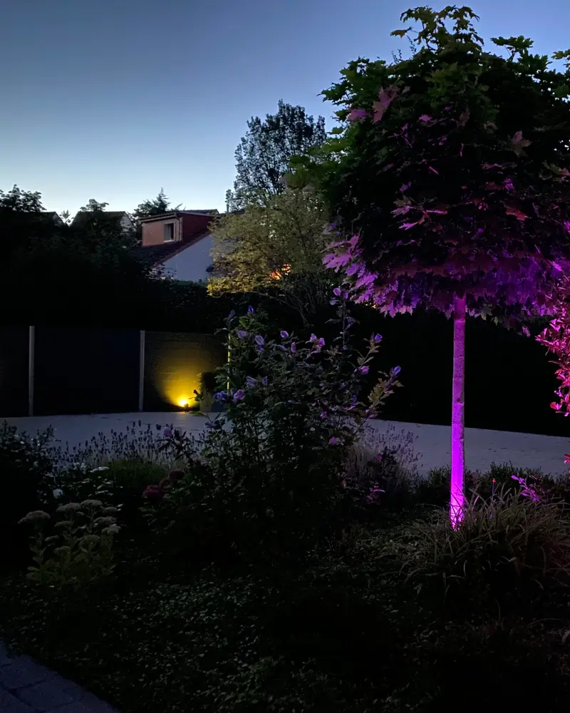 Gartenbeleuchtung mit farbig angestrahltem Baum